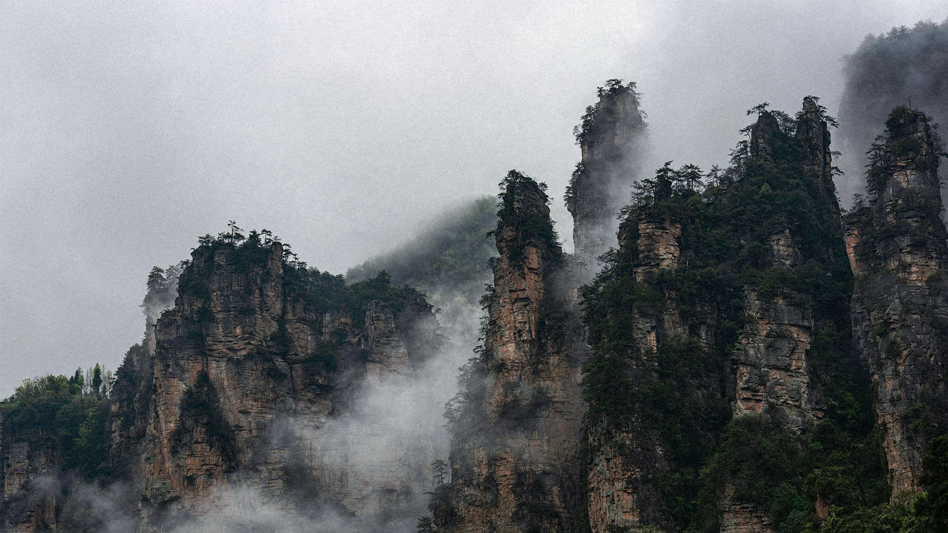 贵州相约行旅行社有限公司驻马店营业网点 - 湖南张家界